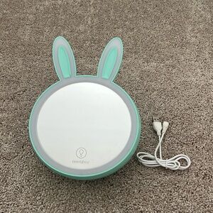 Teal Bunny light up mirror with storage